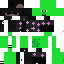 Texture for turtul