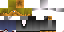Texture for Swag