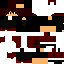 Texture for NyanGamer_BR
