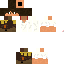 Texture for leo