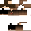 Texture for Sahkkan