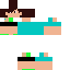 Texture for bby tori