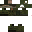 Texture for PVS