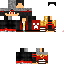 Texture for steve1
