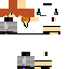 Texture for d7oom702
