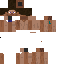 Texture for スティーブ