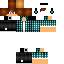 Texture for SR Pedro FS