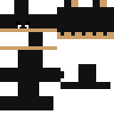 Texture for illager beast