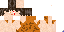 Texture for run2