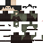 Texture for v3