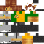 Texture for Lionki
