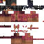 Texture for char5