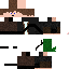 Texture for Plesio