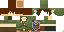 Texture for BrazPlays