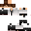 Texture for SrIgor_Br