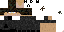 Texture for Lex5000
