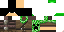 Texture for Luan_pucci