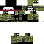 Texture for Domi