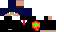 Texture for champ