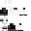 Texture for main fool