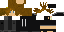 Texture for parkour kyle