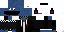 Texture for DREXIK11