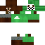 Texture for fh