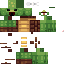 Texture for Turtle