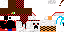Texture for fds