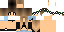 Texture for Steve