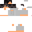 Texture for RoboticNinja
