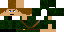 Texture for SCM Winter