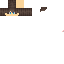 Texture for iAusten