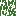 Texture for Oak Leaves