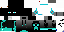 Texture for Ender