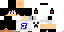 Texture for jp