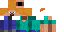 Texture for Ginger Steve