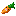Texture for carrot