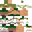 Texture for gladiator3