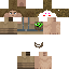 Texture for twinner 2