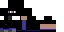 Texture for Ninja