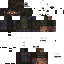 Texture for joel