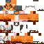 Texture for foxchi