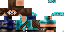 Texture for steve