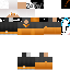 Texture for scroleey_