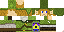 Texture for LINK