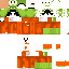 Texture for mario11 preso