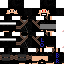 Texture for LoganBR