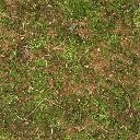 Texture for podzol_top