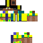 Texture for Cactis